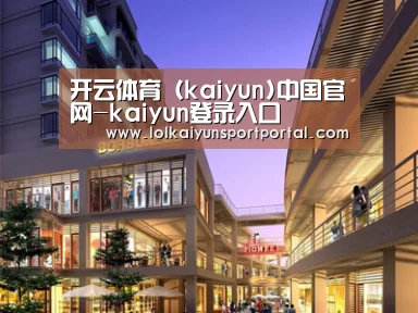 案例展示一(图1)