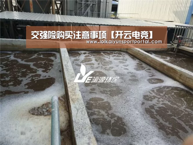 交强险购买注意事项【开云电竞】(图2) 开云电竞