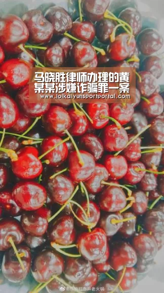 马晓胜律师办理的黄某某涉嫌诈骗罪一案成功取保‘电竞官网’(图2) 电竞官网
