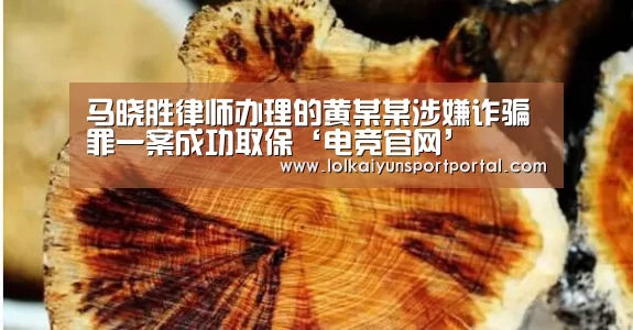 马晓胜律师办理的黄某某涉嫌诈骗罪一案成功取保‘电竞官网’(图3) 电竞官网