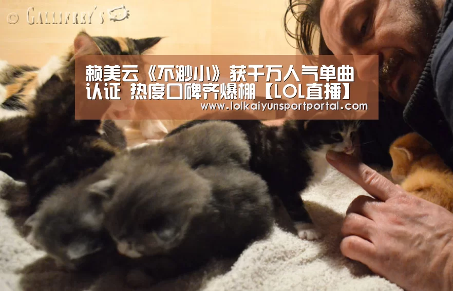 开云电竞