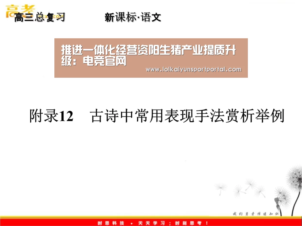 电竞官网
